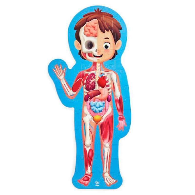 PUZZLE HAPE CORPS HUMAIN