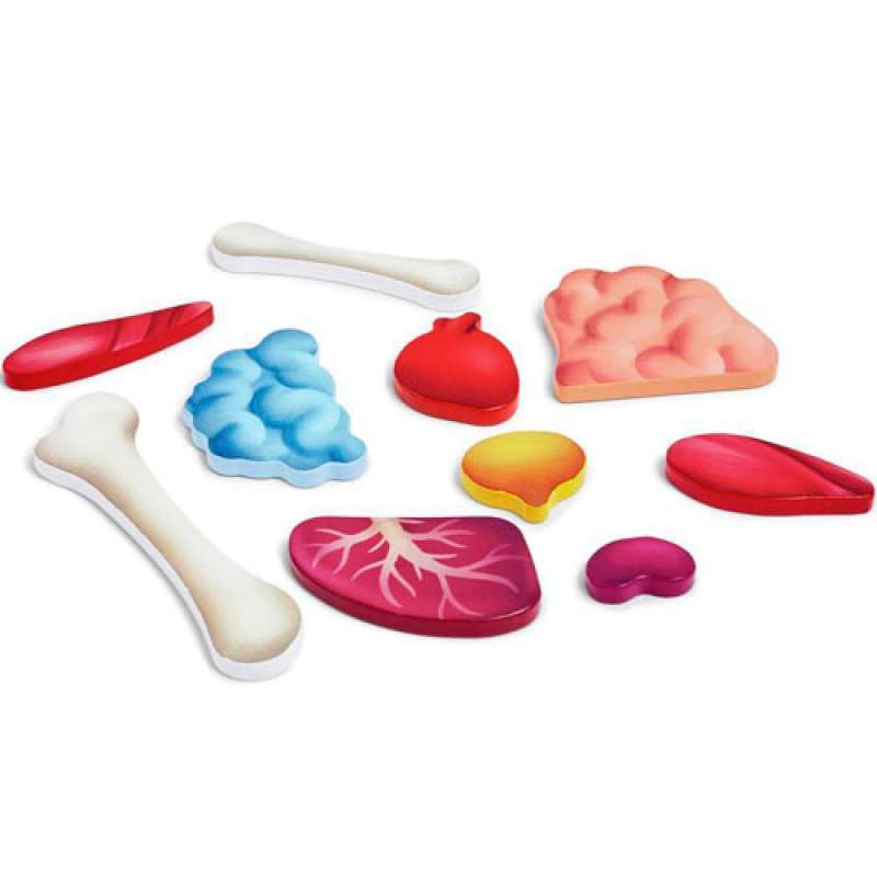 PUZZLE HAPE CORPS HUMAIN