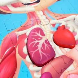 PUZZLE HAPE CORPS HUMAIN